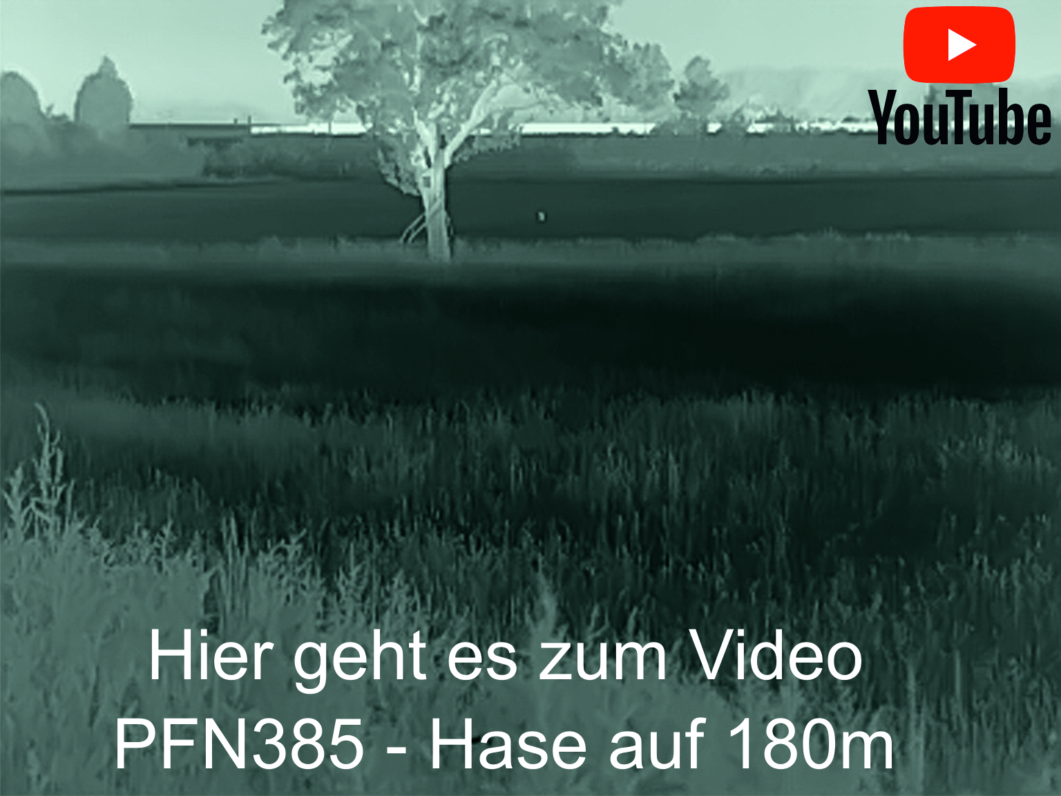 Youtube-Bild-385l6lu7oaiaNmWc